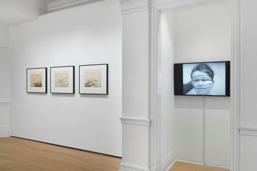 Exhibition view: Annegret Soltau, Spider, Richard Saltoun Gallery, London (21 February–30 June 2020). Courtesy Richard Saltoun Gallery.