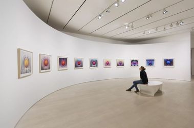 Exhibition view: Loie Hollowell, Dilation Stage, Pace Gallery, New York (8 March–20 April 2024). Courtesy Pace Gallery.