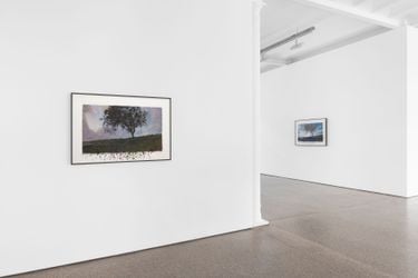 Exhibition view: David Claerbout, Birdsong, Galerie Greta Meert, Brussels (9 November–3 February 2024). Courtesy Galerie Greta Meert.