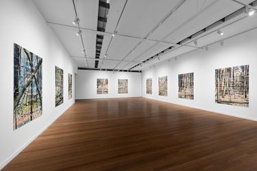 Exhibition view: Imants Tillers, Remembering the unknown, Roslyn Oxley9 Gallery, Sydney (27 October–25 November 2023). Courtesy Roslyn Oxley9 Gallery.