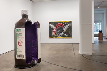 Exhibition view: Awol Erizku, Delirium of Agony, Sean Kelly, New York (8 September–21 October 2023). Courtesy the artist and Sean Kelly, New York/Los Angeles. Photo: Adam Reich.