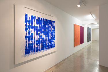 Chromophilia vs Chromophobia: An Exploration of Color, 2016, Exhibition view at Galeria Nara Roesler, São Paulo. Courtesy Galeria Nara Roesler, São Paulo.
