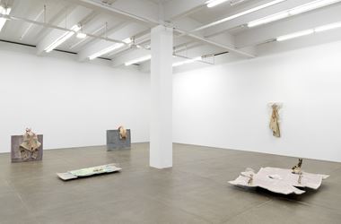 Exhibition view: Liz Magor, Previously..., Andrew Kreps Gallery, New York (27 October 2017–13 January 2018). Courtesy Andrew Kreps Gallery, New York.