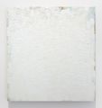 Titanium/Zinc White by Peter Tollens contemporary artwork 1
