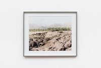 Klein Pella, (date plantation), Northern Cape, 5 June 2004 by David Goldblatt contemporary artwork photography, print