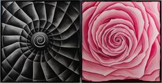 Spiral, Rose (diptych) by Rebecca Ackroyd contemporary artwork 1