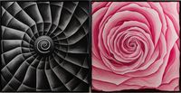 Spiral, Rose (diptych) by Rebecca Ackroyd contemporary artwork drawing