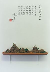 Edible Pen Jing（4） by Song Dong contemporary artwork photography