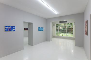 Exhibition view: Gao Yuan, The Omen 征兆, Capsule Shanghai, Shanghai (26 October–25 December 2019). Courtesy Capsule Shanghai.