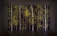 Blind Eye 4 by Jennifer Steinkamp contemporary artwork sculpture, moving image