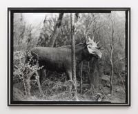 Eighteenth beast by Gerard Byrne contemporary artwork photography