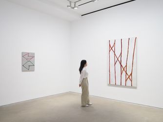 Exhibition view: Raoul De Keyser, Replay Again, David Zwirner, Hong Kong (5 July–6 August 2022). Courtesy David Zwirner. 