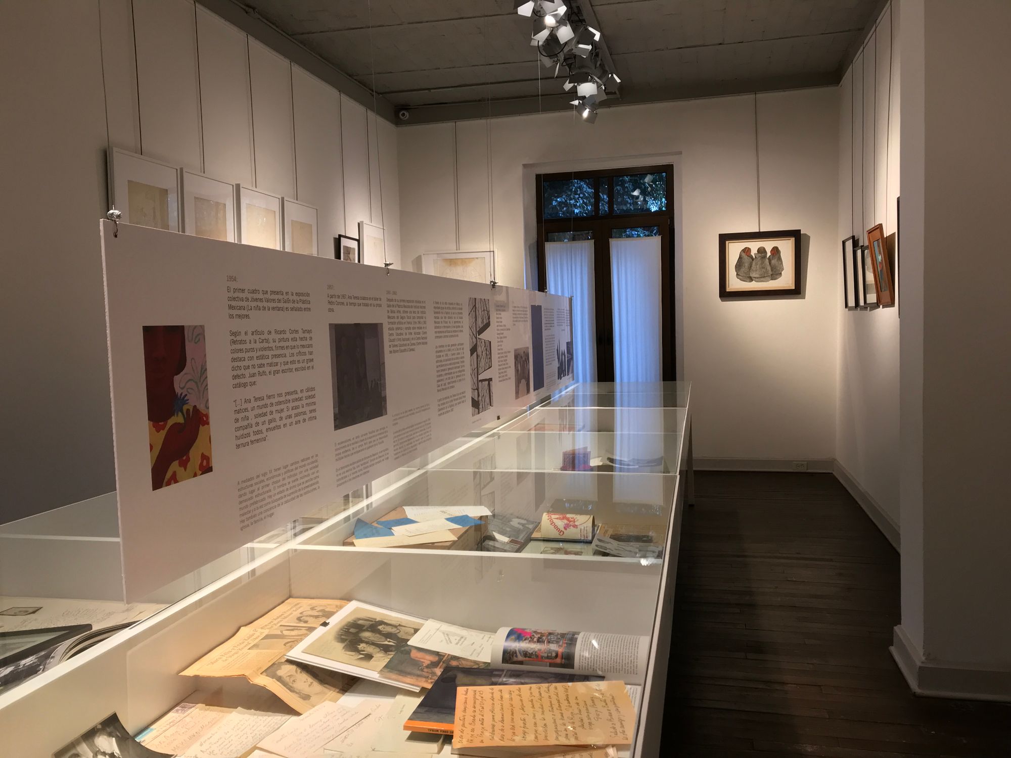 Ana Teresa Fierro, 'Organic Structure in Search of Aesthetic Freedom, 1926  -2004' at Terreno Baldío Arte, Mexico City, Mexico on 1 Feb–18 Jun 2022 |  Ocula