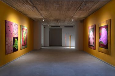 Exhibition view: Wioletta Kulewska, The Feather Collector, Valletta Contemporary, Malta (5 March–16 April 2022). Courtesy Valletta Contemporary.