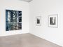 Contemporary art exhibition, Thomas Struth, Thomas Struth at Galerie Greta Meert, Online Only, Belgium