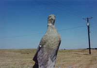 Bird Statue by Samuel Laurence Cunnane contemporary artwork photography