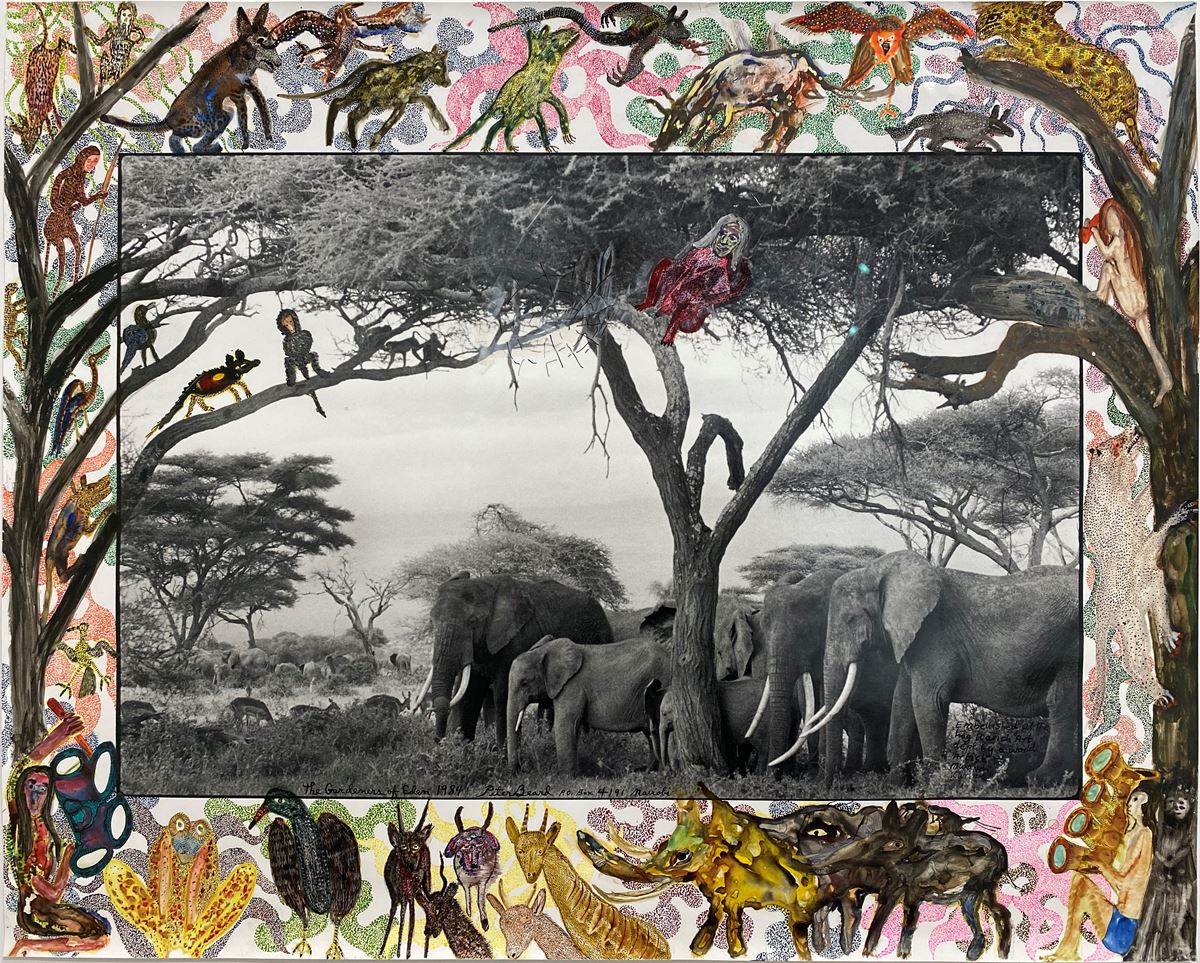 Peter Beard Biography, Artworks & Exhibitions | Ocula Artist