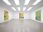 Contemporary art exhibition, Louise Giovanelli, Louise Giovanelli at White Cube, Hong Kong