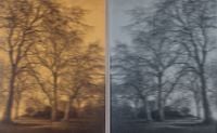Portrait of a Tree in Silver and Steel by Paul Rusconi contemporary artwork painting