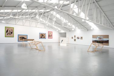 Contemporary art exhibition, Gabriela Bettini, Raíces Secundarias at Sabrina Amrani, Sallaberry, 52, Madrid, Spain
