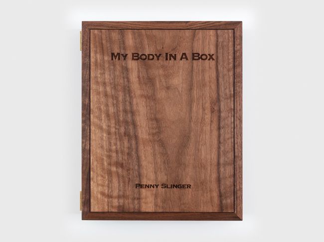 My Body in a Box by Penny Slinger contemporary artwork