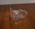 Empty Sculpture by Mikala Dwyer contemporary artwork 2