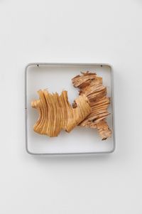 Relief II (birch bark) by Barbara Levittoux-Świderska contemporary artwork sculpture
