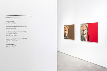 Exhibition view: Group Exhibition, Cross-cuts, Galeria Nara Roesler, New York (12 January–13 February 2021). Courtesy Galeria Nara Roesler. Photo: Charles Roussel.