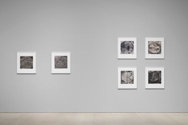 Exhibition view: Emmet Gowin, The One Hundred Circle Farm, Pace Gallery, West 25th Street, New York (25 March–30 April 2022). Courtesy Pace Gallery.