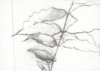 Leaves 181015 葉子181015 by Jeng Jundian contemporary artwork works on paper