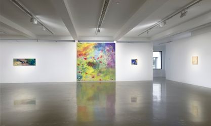 Exhibition view: Lucy Dodd, Heart Overture, Sprüth Magers, Los Angeles, (2 February–12 March 2022). Courtesy Sprüth Magers. Photo: Robert Wedemeyer.