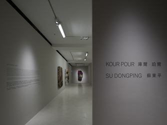 Exhibition view: Kour Pour & Su Dongping, Two Solo Exhibitions, Pearl Lam Galleries, Hong Kong (19 January–16 March 2018). Courtesy the artists and Pearl Lam Galleries. Photo: Kit Ming Lee.