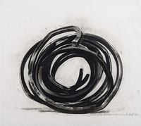 Two Indeterminate Lines by Bernar Venet contemporary artwork works on paper
