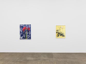 Exhibition view: Annette Kelm, Knots, Andrew Kreps Gallery, New York (7 April–12 May 2018). Courtesy Andrew Kreps Gallery.