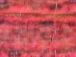 Sterling Ruby