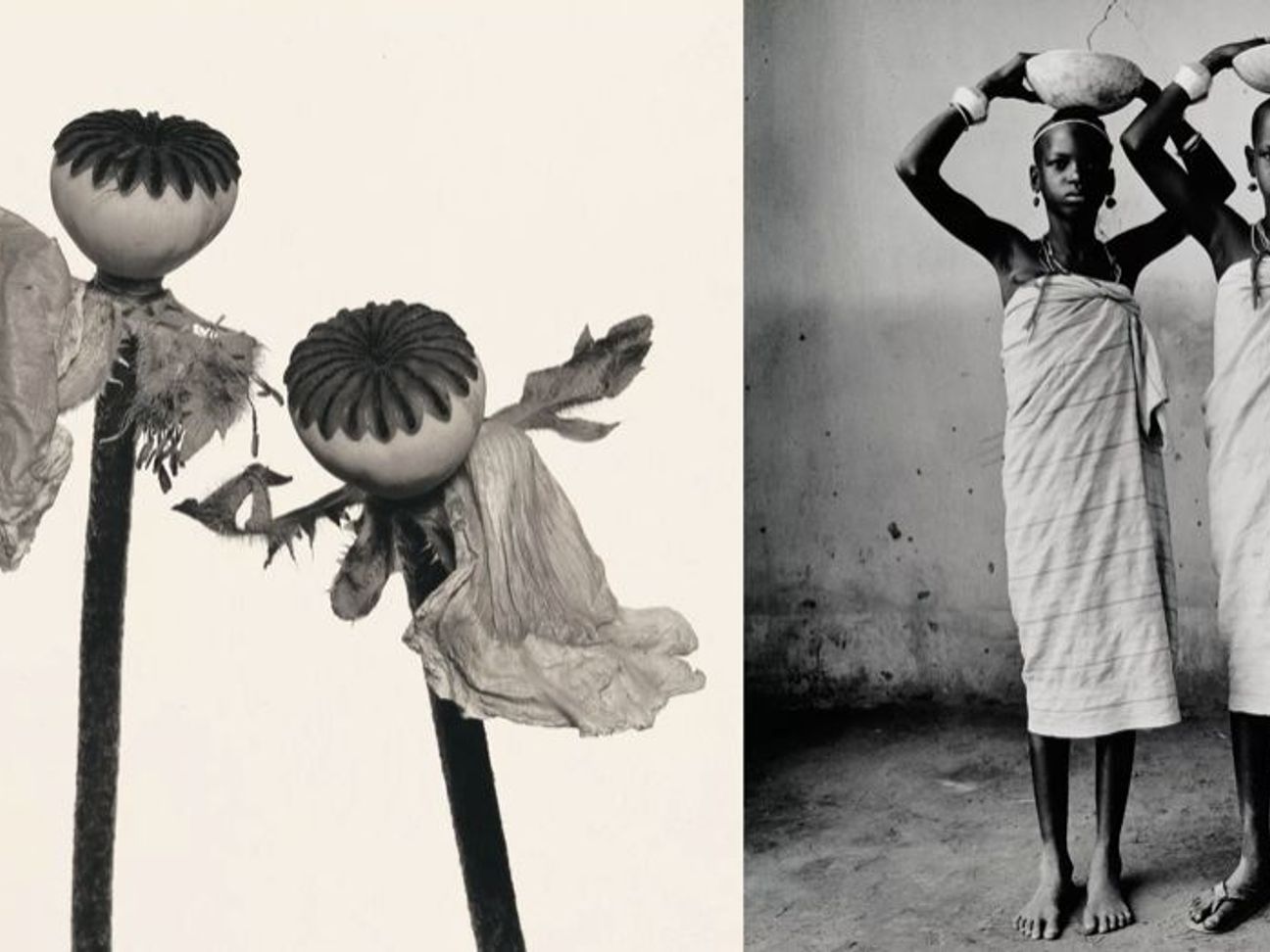 Irving Penn, 'Irving Penn: Kinship, Curated by Hank Willis Thomas