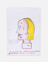 Phrenology Head, Aunty Anne by Rose Wylie contemporary artwork works on paper