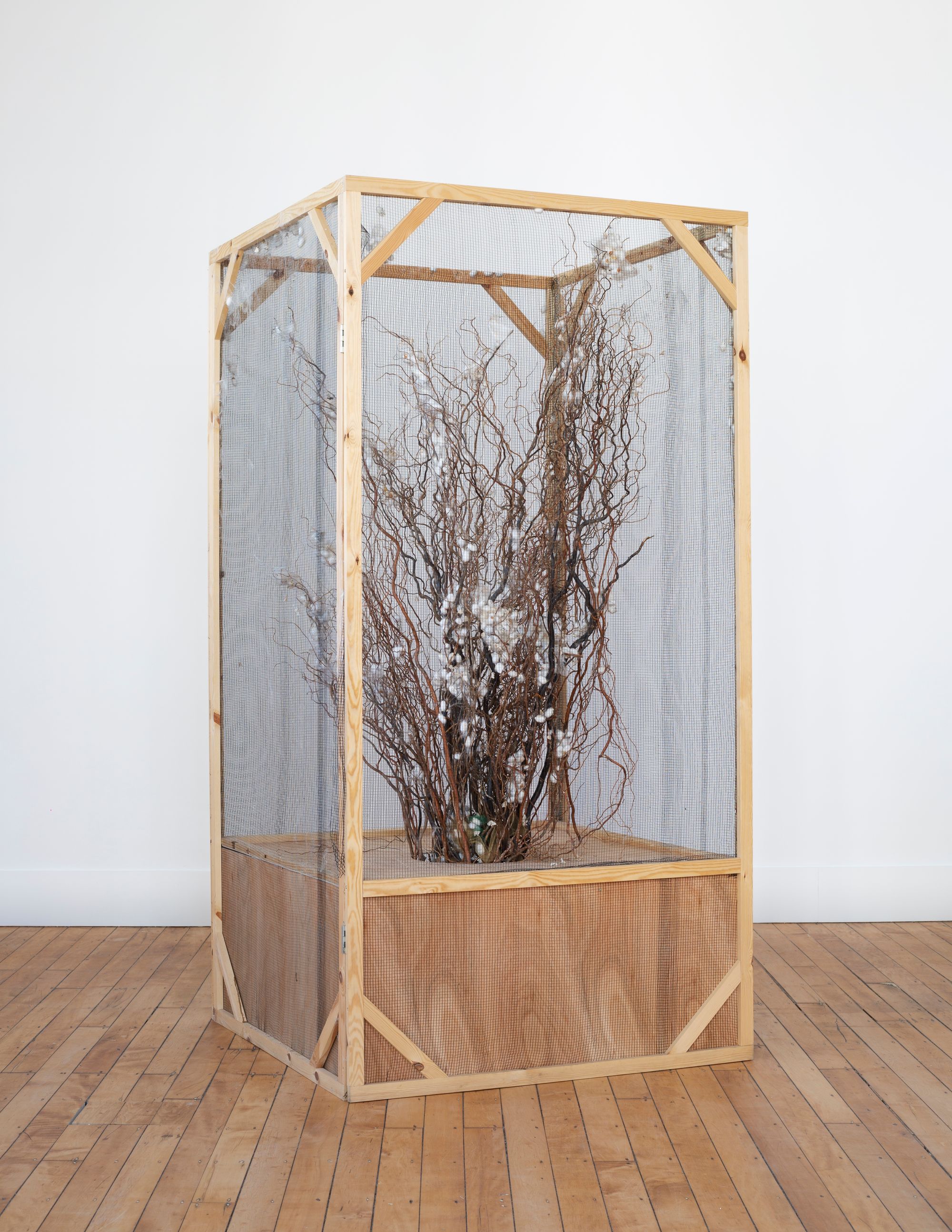 Silk moth enclosure, 2020 by Annie Ratti Ocula