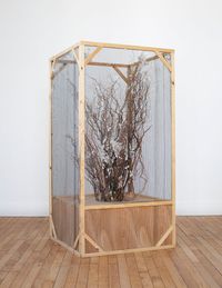 Silk moth enclosure by Annie Ratti contemporary artwork sculpture