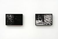 Necromass by Luca Campestri contemporary artwork print