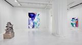 Contemporary art exhibition, Donna Huanca, VENAS DEL CAPULLO at Sean Kelly, New York, United States