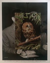 Nest VII by John Stezaker contemporary artwork works on paper, photography