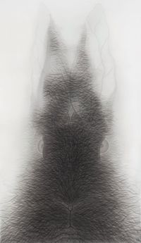 Rabbit Portrait - Wuxu 2 by Shao Fan contemporary artwork drawing
