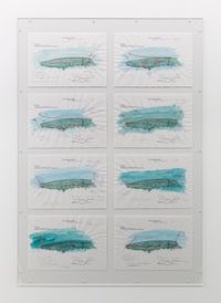 Diving Log (Akitsushima) by Yukinori Yanagi contemporary artwork works on paper
