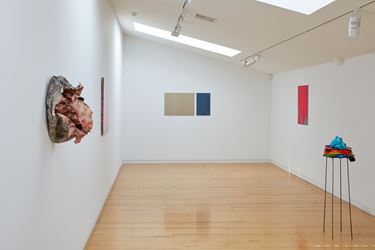 Exhibition view: WestFarbe: Paint vs Colour, Two Rooms, Auckland (31 January–29 February 2020). Courtesy Two Rooms.