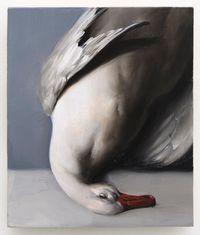 Still Life (Self Portrait as a Dead Bird) by Mircea Suciu contemporary artwork painting, works on paper, print