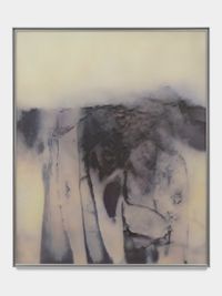 †R†W†R§†0WRK by Anicka Yi contemporary artwork painting, works on paper, sculpture