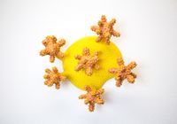 Fiorella series (yellow) by Ahryun Lee contemporary artwork ceramics