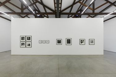 Exhibition view: Robert Mapplethorpe, More Than a Face, Fortes D'Aloia & Gabriel, São Paulo (25 May–22 July 2023). Courtesy D'Aloia & Gabriel.