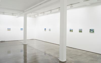 Maureen Gallace, Solo Exhibition, 2016, Exhibition view at Maureen Paley, London. Courtesy the Artist and Maureen Paley. © Maureen Gallace.